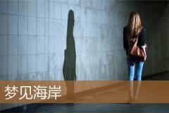 梦见海岸