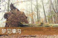 梦见壕沟