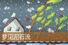 梦见泥石流