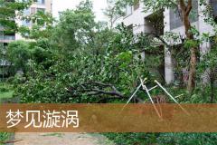 梦见漩涡