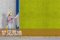 梦见荒地