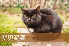 梦见泥潭