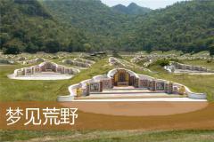 梦见荒野