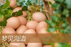 梦见海边