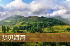 梦见海湾