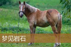 梦见岩石