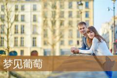 梦见葡萄