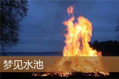 梦见水池
