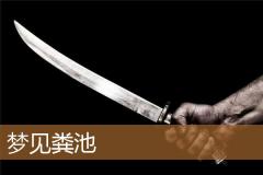 梦见粪池