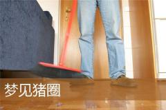 梦见猪圈