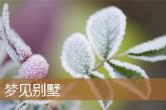 梦见别墅