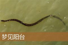 梦见阳台