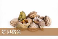 梦见宿舍