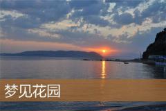 梦见花园