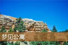 梦见公寓