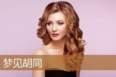 梦见胡同