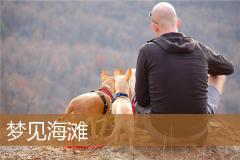 梦见海滩