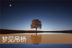梦见吊桥