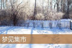 梦见集市