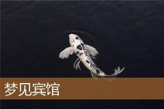 梦见宾馆