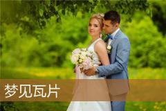 梦见瓦片