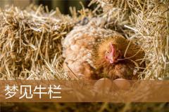梦见牛栏