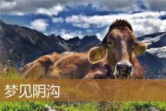 梦见阴沟