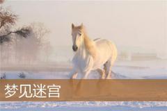 梦见迷宫