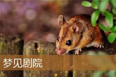 梦见剧院