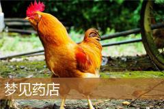 梦见药店