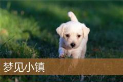 梦见小镇