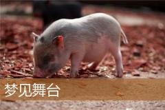 梦见舞台
