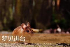 梦见讲台