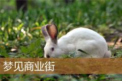 梦见商业街