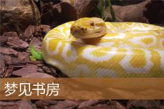 梦见书房