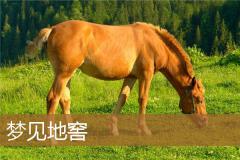 梦见地窖