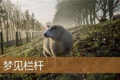梦见栏杆