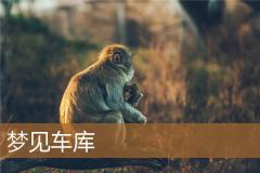 梦见车库