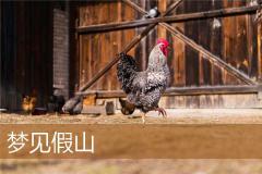 梦见假山