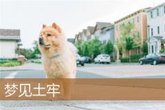 梦见土牢