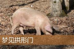 梦见拱形门
