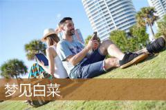 梦见白菜