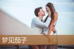 梦见茄子