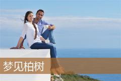 梦见柏树