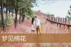 梦见棉花
