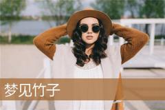 梦见竹子