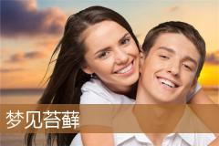 梦见苔藓