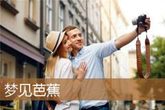 梦见芭蕉