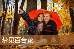 梦见百合花