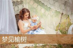 梦见榆树